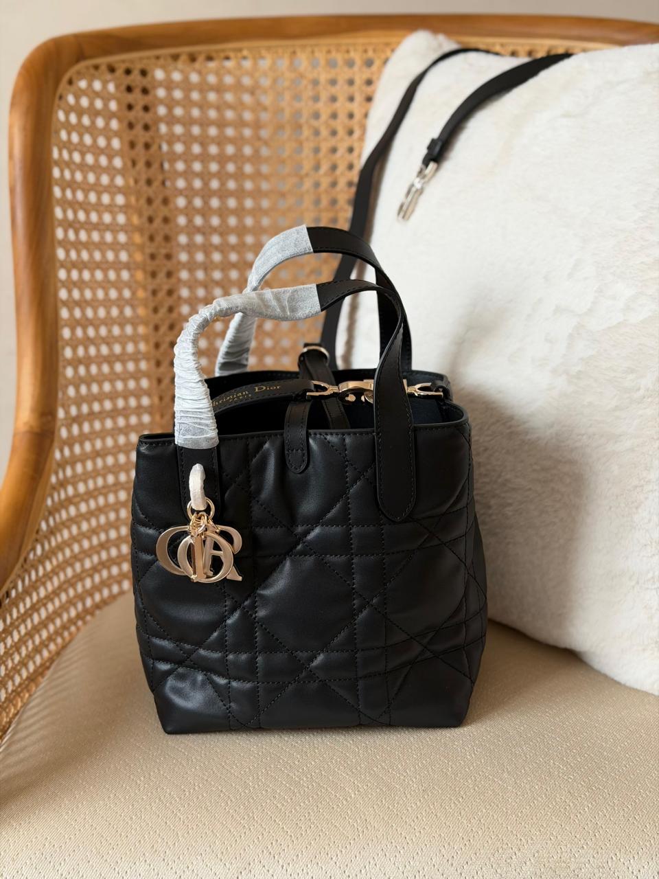Small Dior Vertical Tote Bags