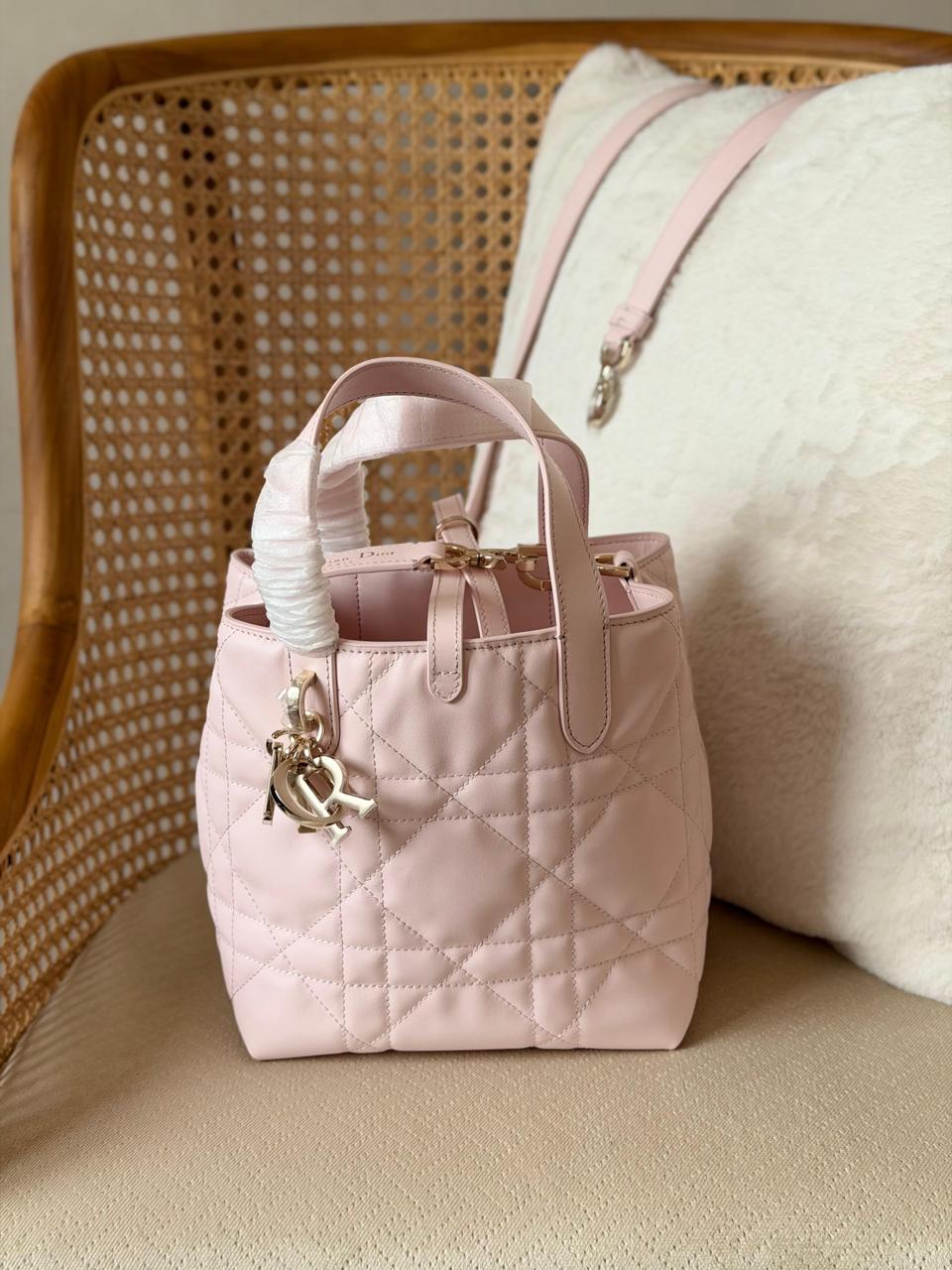 Small Dior Vertical Tote Bags