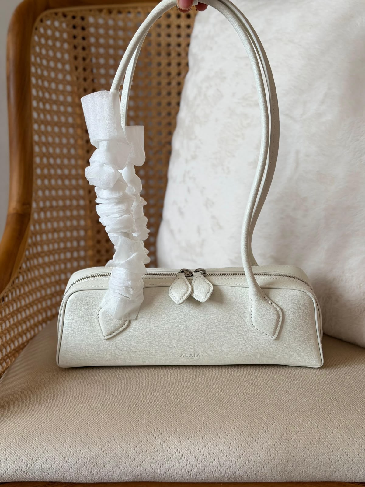 Alaia Le Teckel Small Bag