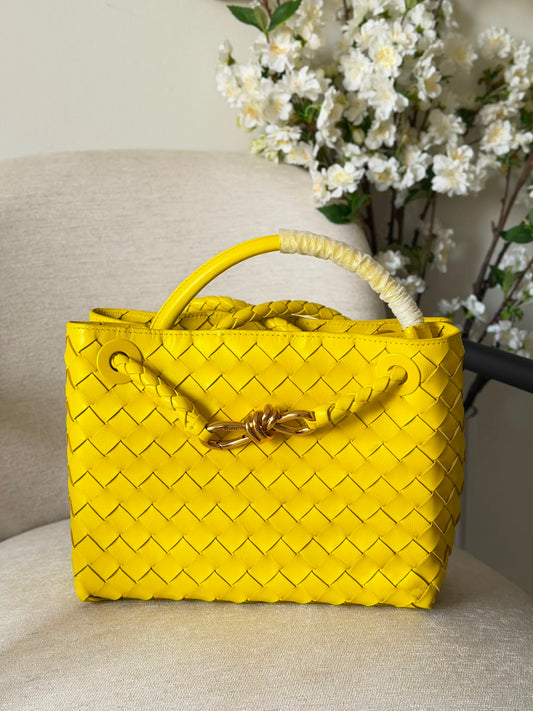Bottega Veneta Andiamo Bag 25 cm