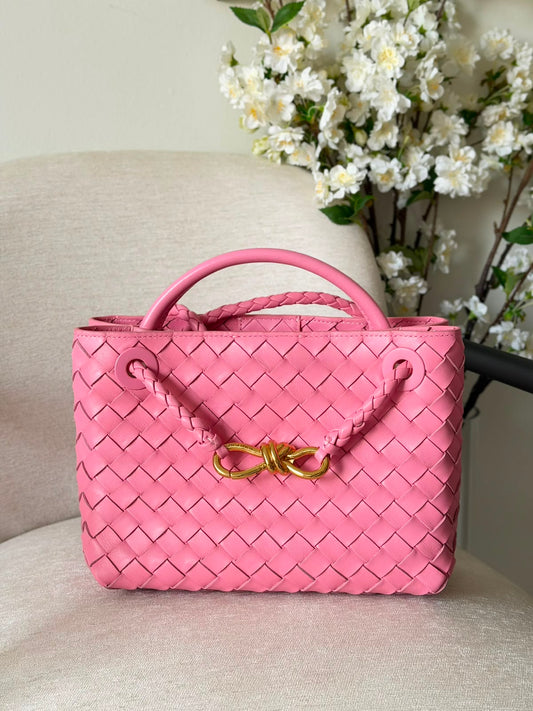 Bottega Veneta Andiamo Bag 25 cm