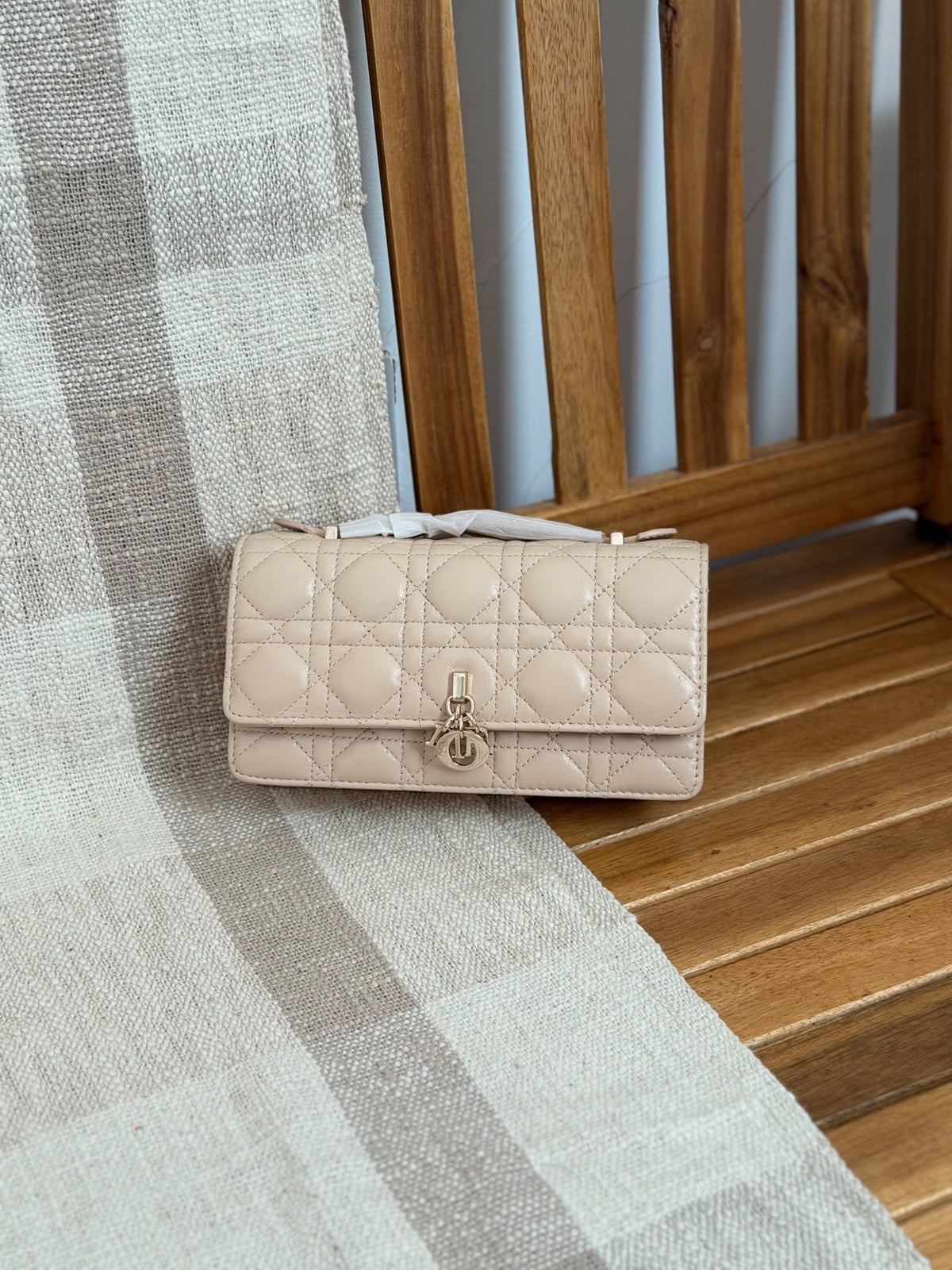 Christian Dior Matt Pink My Dior Mini with Chain